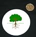 3 button / pin printed with Tree Branches And Roots