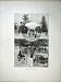 1886 View Pleasure Grounds Sydney Australia Hyde Park