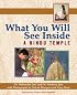 What You Will See Inside a Hindu Temple (What You Will See Inside)