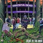 Click here to buy Dozin' at the Knick by  Grateful Dead .
