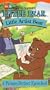 Little Bear - Little Artist Bear [VHS]