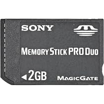 Sony 2 GB Memory Stick PRO Duo (MSX-M2GS) (Retail Package)