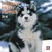 Siberian Husky Puppies 2010 Wall Calendar