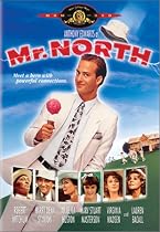 Lowest Price on Mr North.