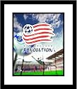 New England Revolution MLS Soccer Team Logo Framed 8x10 Photograph