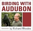 Birding with Audubon
