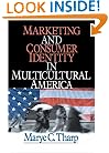 Marketing and Consumer Identity in Multicultural America
