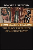 From Slave to Pharaoh: The Black Experience of Ancient Egypt