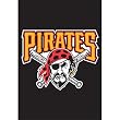 Pittsburgh Pirates MLB Mini Garden or Window Flag (15"x10.5")