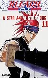 Bleach, Tome 11 : A Star and a Stray Dog