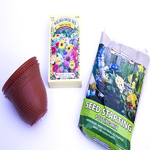 Spring Flower Garden Bundle of 3 Items