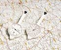 Curvimetre 8 Echelles [Fournitures de bureau]