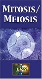 Review   / Mitosis / Meiosis