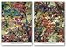 Variegation of the Vines Set by E. Loren Soderberg 24x18 Art Print Poster