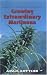 Growing Extraordinary Marijuana: Second Edition