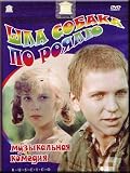 There was a dog on a grand piano / Shla sobaka po royalyu (DVD PAL) (DVD PAL)