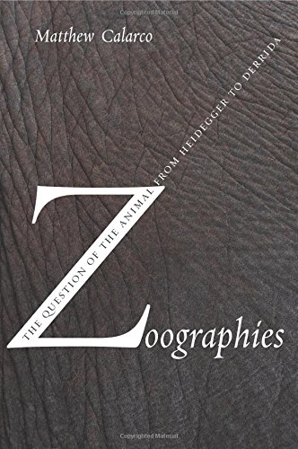 zoographies the question of the animal from heidegger to derrida