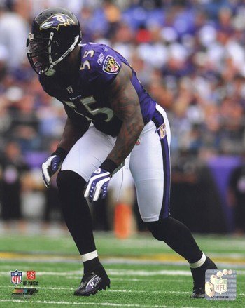 Terrell Suggs 2010 Action - Licensed Photo by PhotoFile (8x10)
