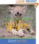 Northwest Animal Babies