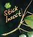Stick Insect (Bug Books)