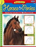 Draw And Color Horses And Ponies