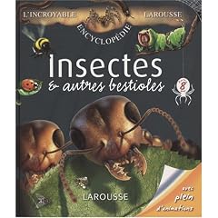 Insectes et autres bestioles