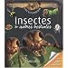 Insectes et autres bestioles