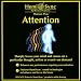Attention - Part 1