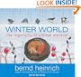 Winter World: The Ingenuity of Animal Survival