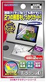 NintendoDS