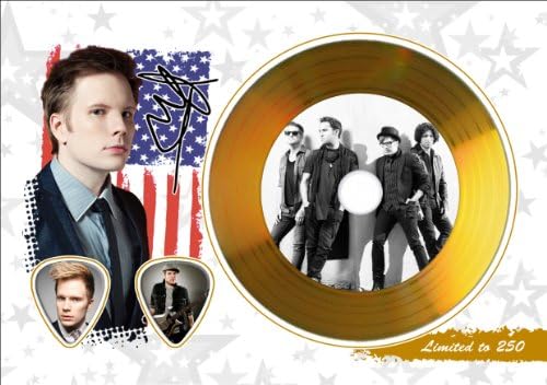 Patrick Stump Fall Out Boy Gold Disc Display With Guitar Picks