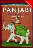 Colloquial Panjabi: A Complete Language Course (Colloquial Series (Multimedia))