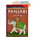Colloquial Panjabi: The Complete Course for Beginners: A Complete Language Course (Colloquial Series)