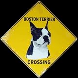 Boston Terrier -- Full Color 16