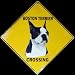 boston terrier - Boston Terrier -- Full Color 16