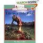 Life in a Tide Pool (Rookie Read-About Science)
