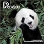 Pandas 2010 Wall Calendar