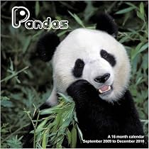 Pandas 2010 Wall Calendar
