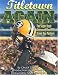 The Green Bay Packers