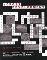 aCross Development