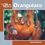 Orangutans (Our Wild World)