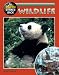 Wildlife (Earth Strikes Back)
