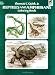 Reptiles and Amphibians Coloring Book (Dover Nature Coloring Book) by Thomas C. Quirk Jr., Coloring Books