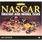 NASCAR fiction and non-fiction