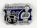 Correctional Officer (Occupation) Enamel Pewter Buckle