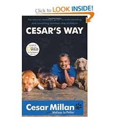 Cesar's Way: The Natural, Everyday Guide to Understanding and Correcting Common Dog Problems