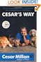 Cesar's Way