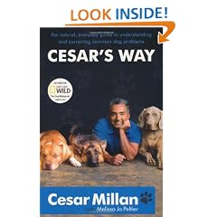 Cesar's Way: The Natural, Everyday Guide to Understanding and Correcting Common Dog Problems