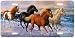 Surfsters - Horse Art Print - License Plate by Randy McGovern from Airstrike, Inc.