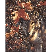 Paint by Number Autumn Wolf